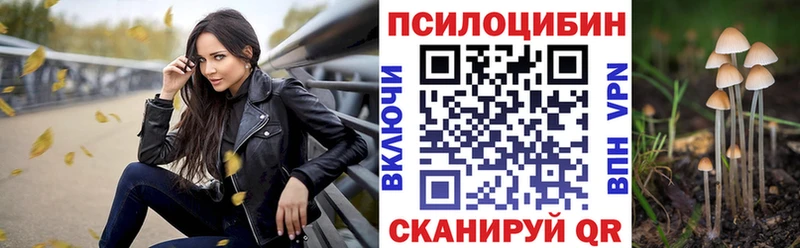 Псилоцибиновые грибы MAGIC MUSHROOMS  Пудож 