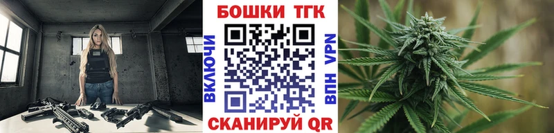 Бошки марихуана SATIVA & INDICA  mega онион  Пудож 